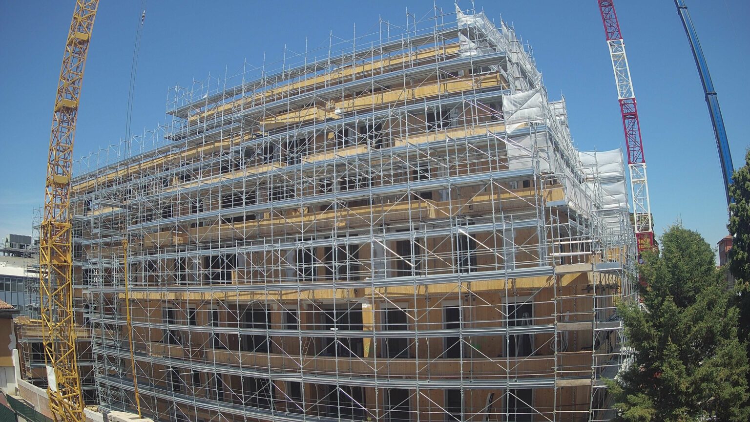 San Pietro - Cimabue- 06 18 06 2024